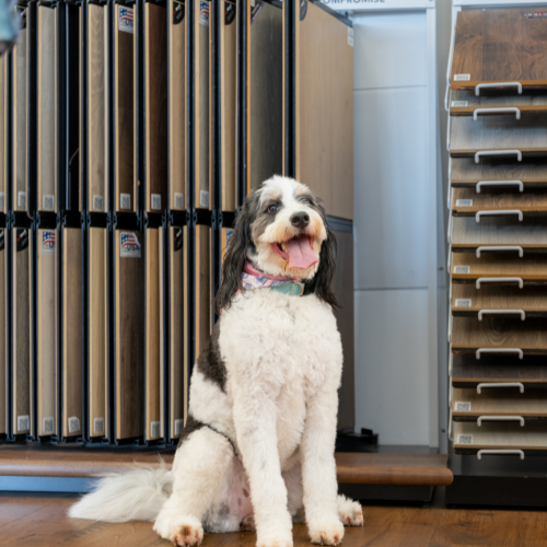 Images All About Flooring