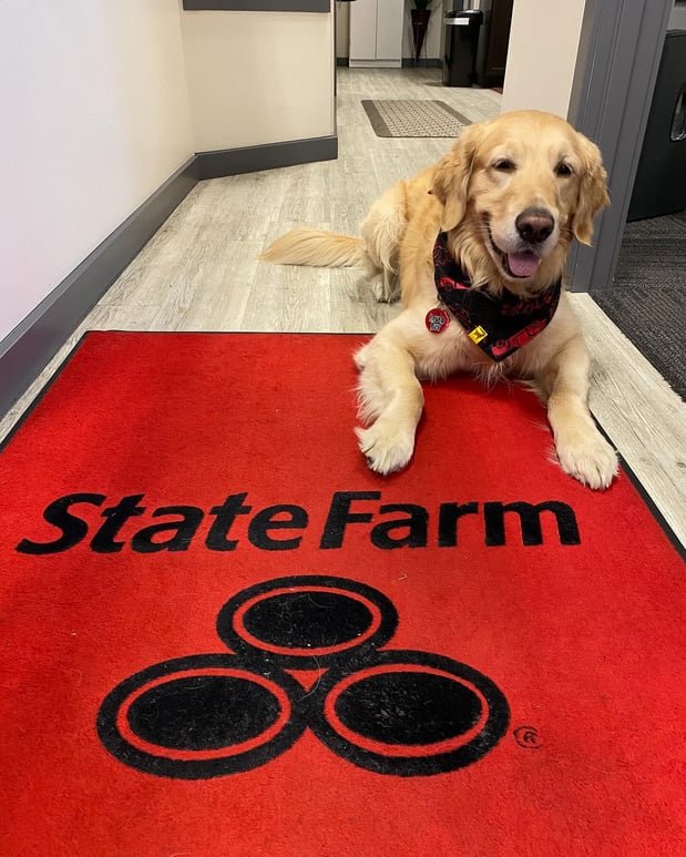 Images Stacey Allen - State Farm Insurance Agent