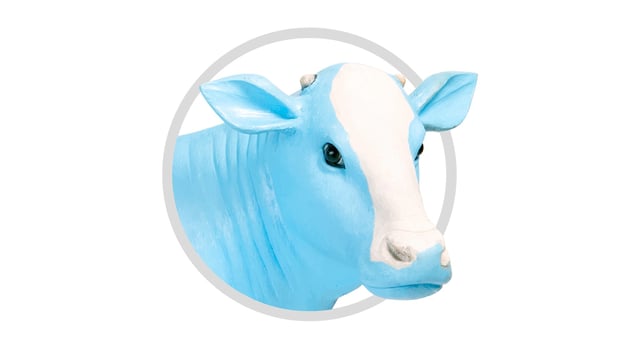 Images Mendocino Farms