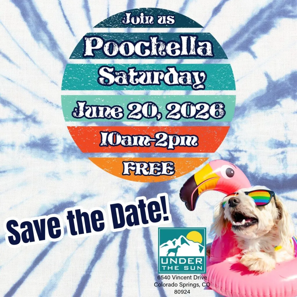 Image of Local Pet Event UTS Poochella Pool & Park Party Nearby