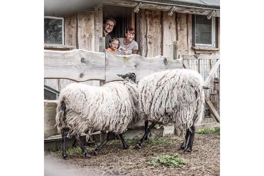 Bild 5 Trixi Park - Hotel, Camping und Ferienhäuser - Familienurlaub im Zittauer Gebirge in Großschönau