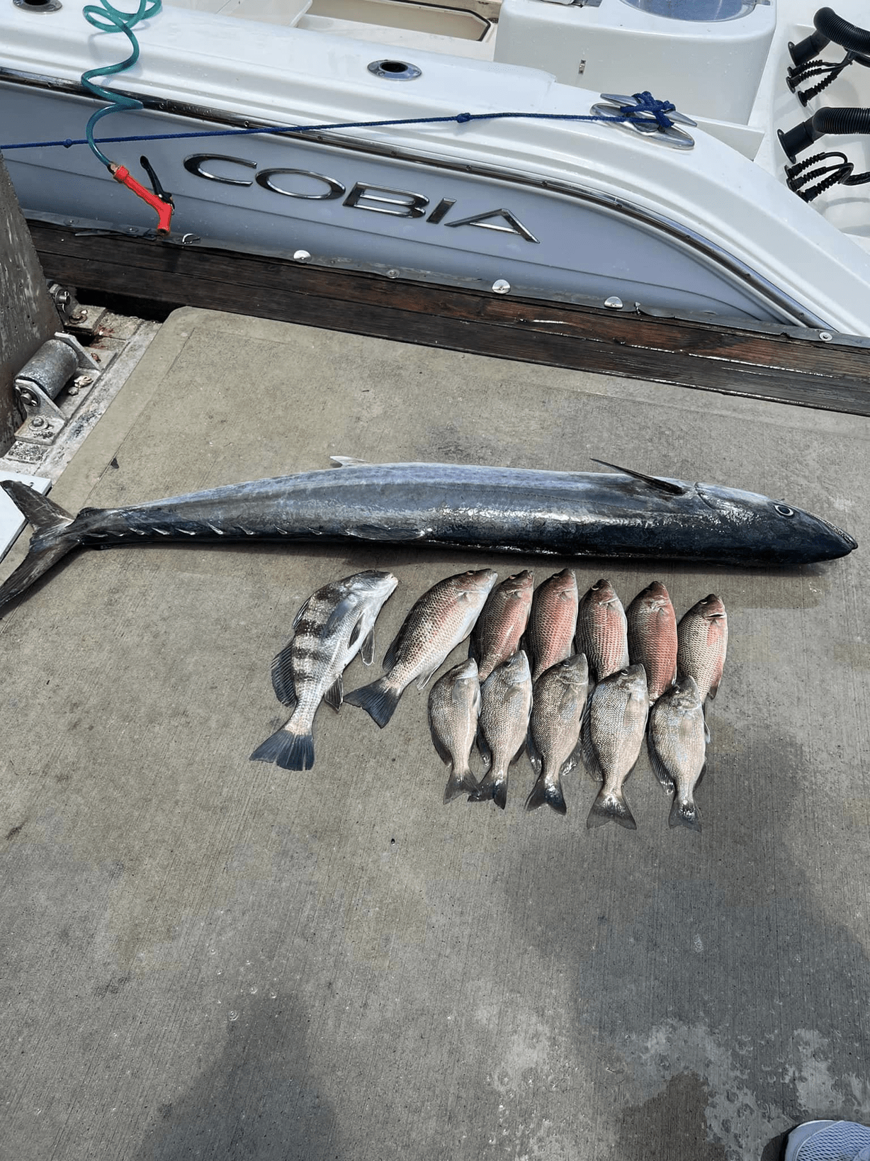 Image 6 | Rod Bender Fishing Charters