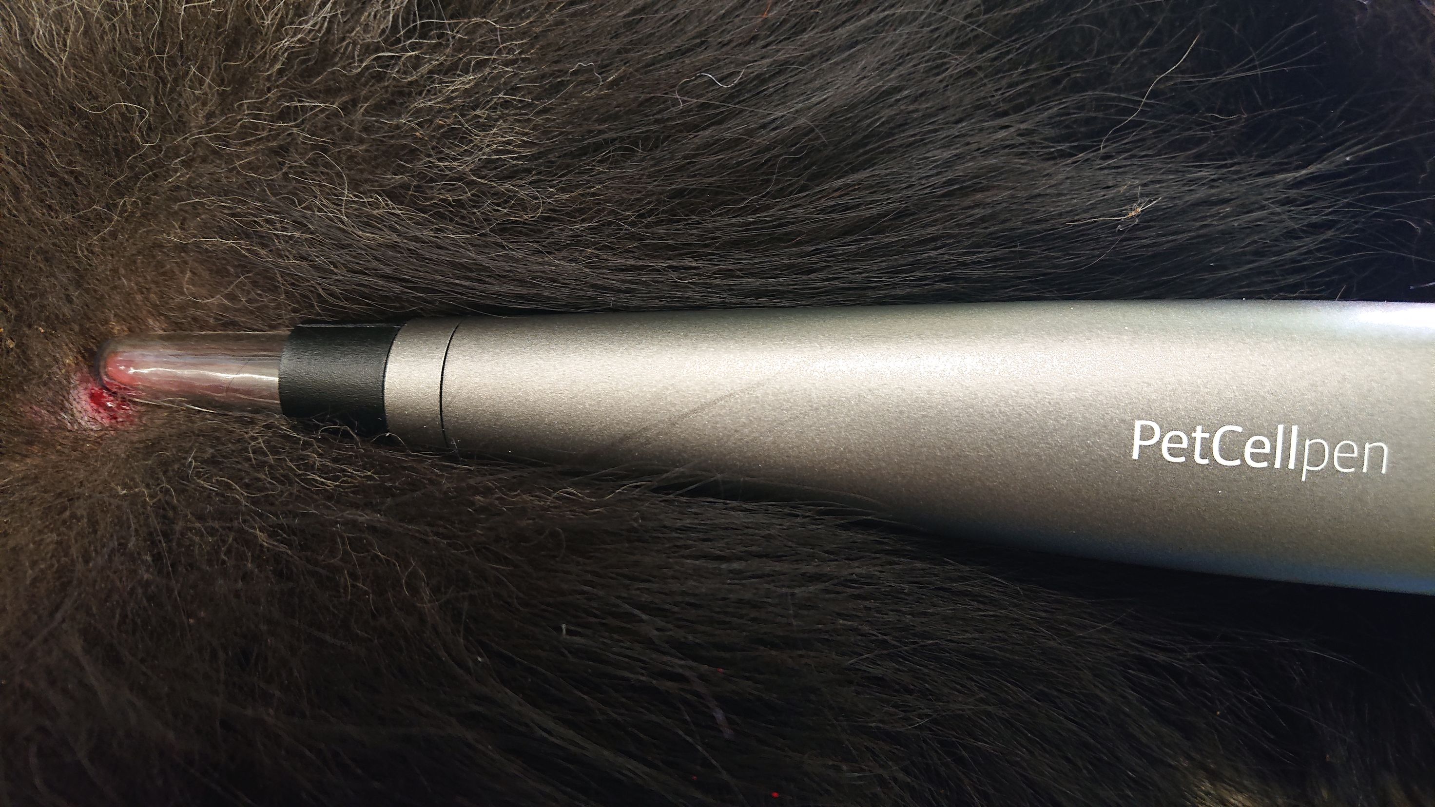 Bilder Kleintierpraxis am Obersee GmbH