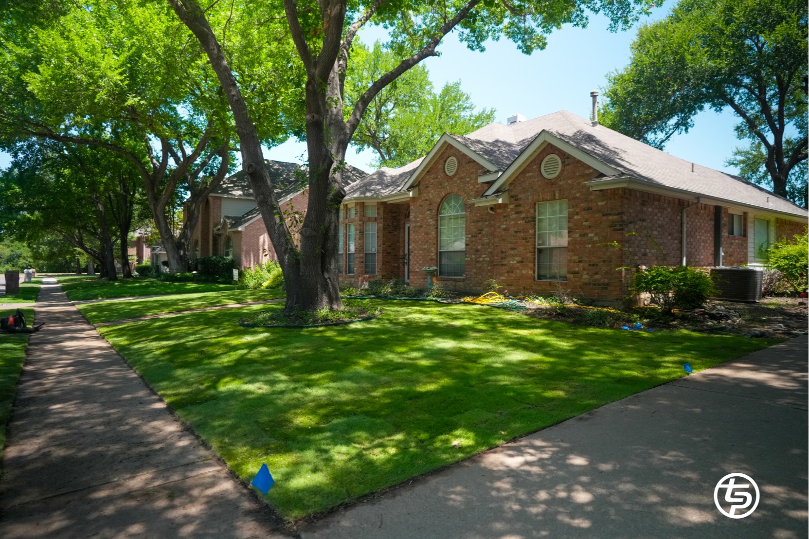Sod Repair Services 