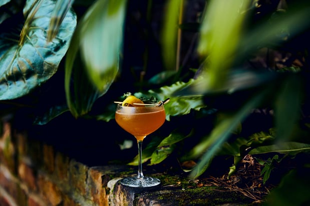 Images Kimpton Sylvan Atlanta - Buckhead by IHG