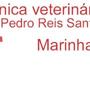 Clínica Veterinária Dr Pedro Reis Santos -Marinhais Logo