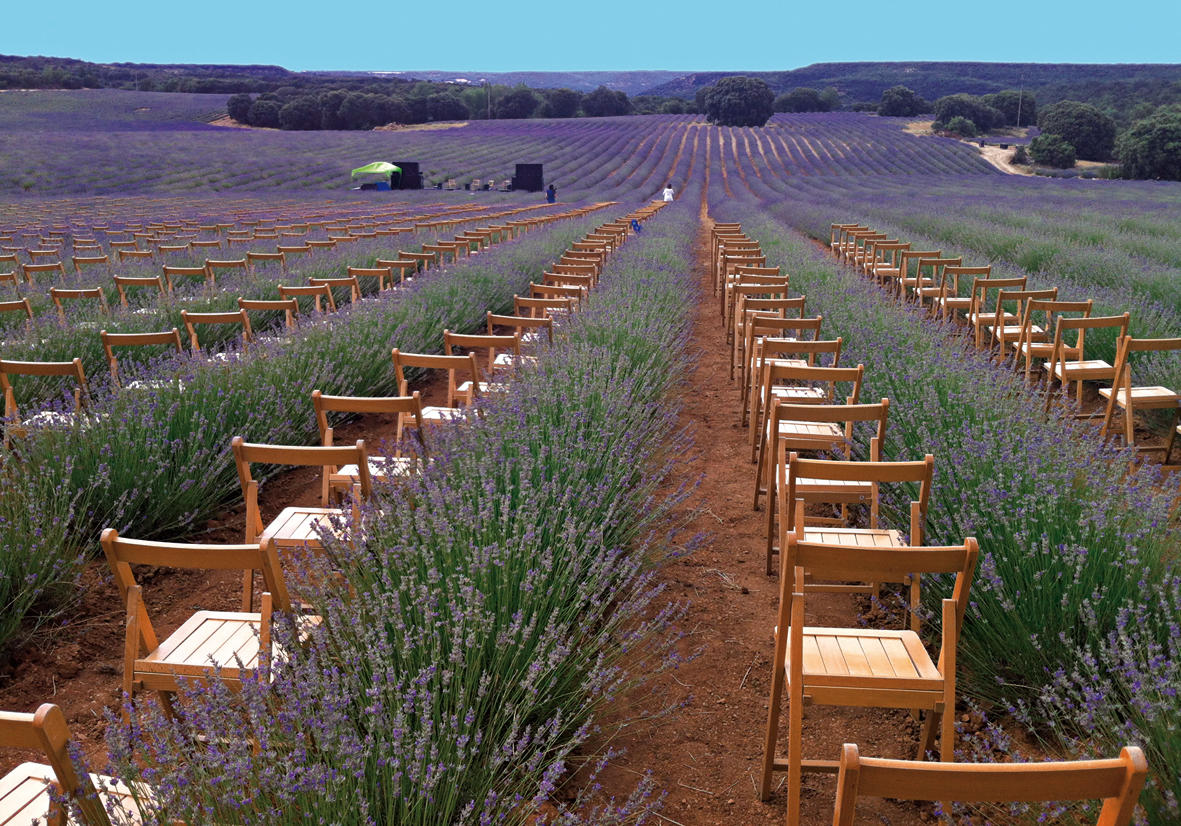 Images Sillasalquiler.com