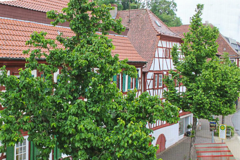 Bild 4 Ambulanter Pflegedienst Kieser GmbH in Sinsheim