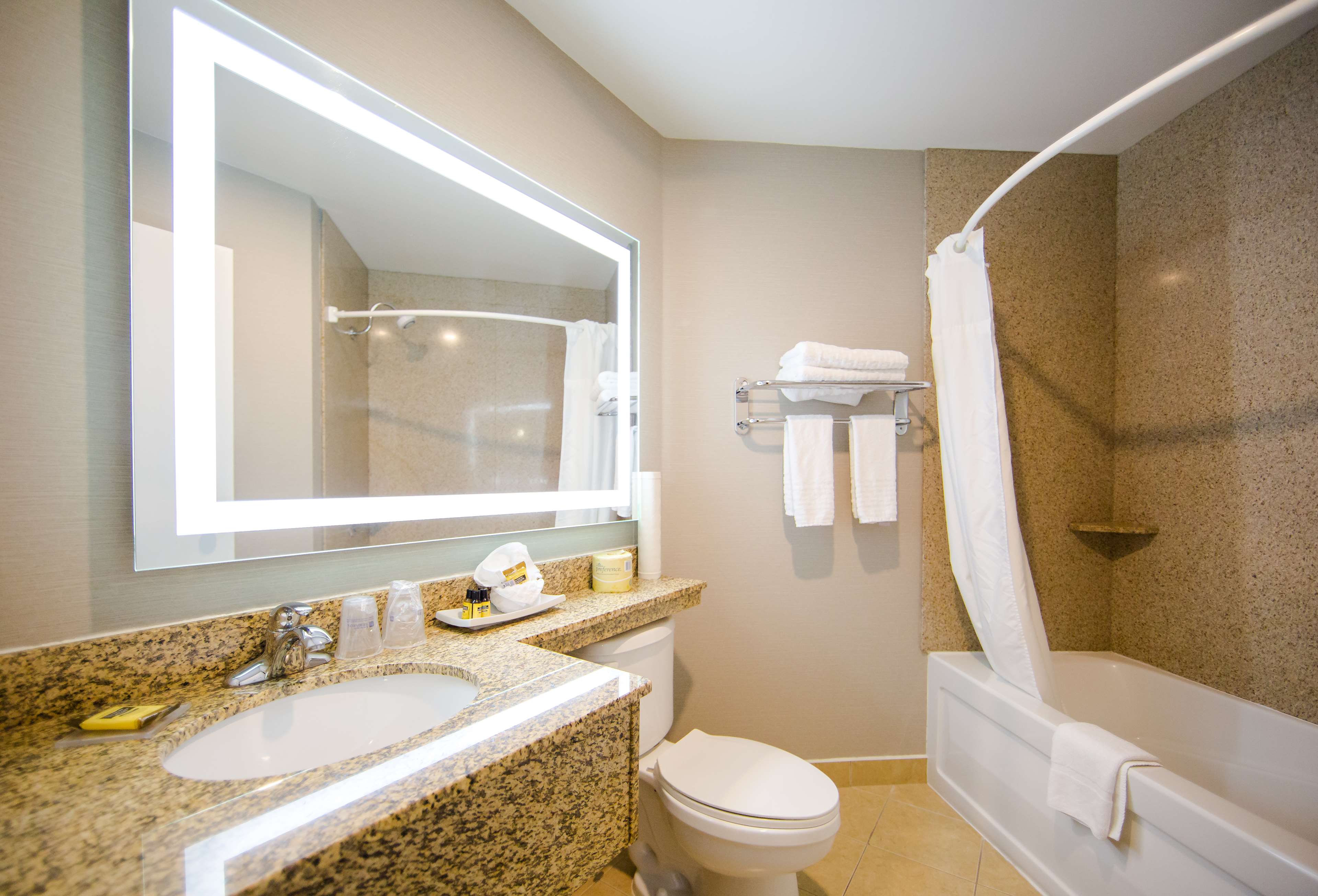 Executive King Bathroom Best Western Plus Ottawa Kanata Hotel & Conference Centre Ottawa (613)828-2741