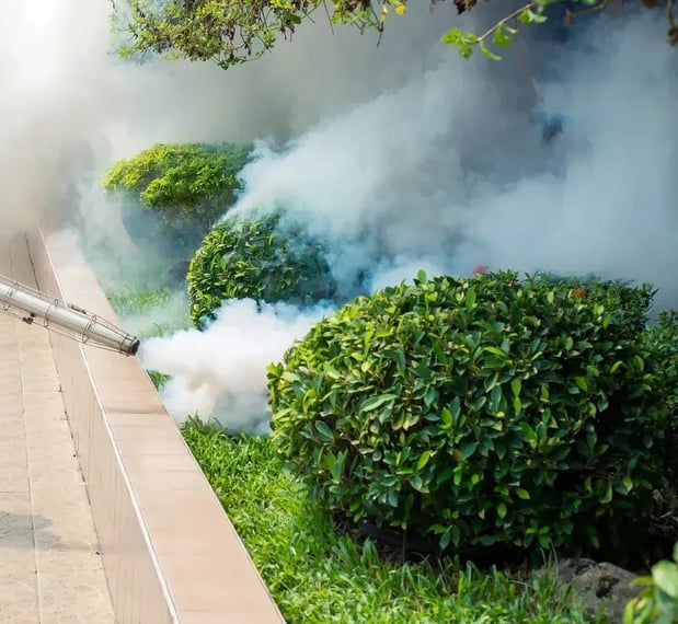 Images Safe Haven Pest Control