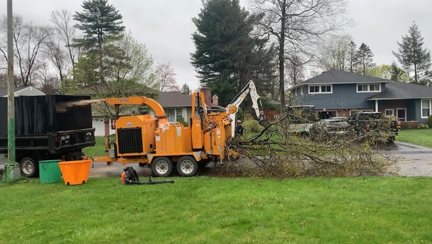 Images A&J Tree Service Inc.