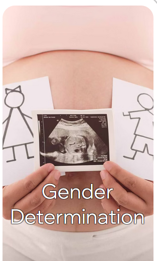 Early Pregnancy / Dating Scan, Fetal Wellbeing Scan, 3D / 4D Scan, Gender Scan, Fetal Anomaly Scan, Transabdominal/Transvaginal Scan, NIPT (Non-Invasive Prenatal Testing), Gender Determination Test, Early Pregnancy Review, Heartbeat Bear, Gender Reveal Cannon, Gender Reveal Balloon