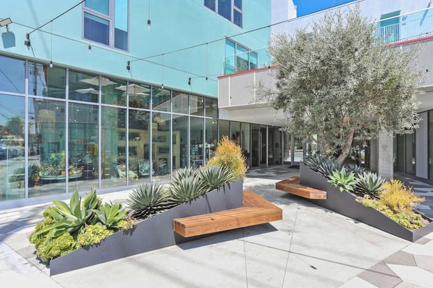 Images Zoe Lofts