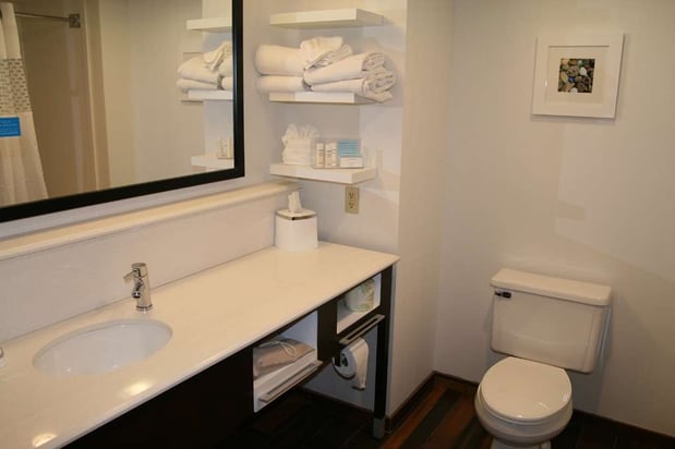 Images Hampton Inn Birch Run/Frankenmuth