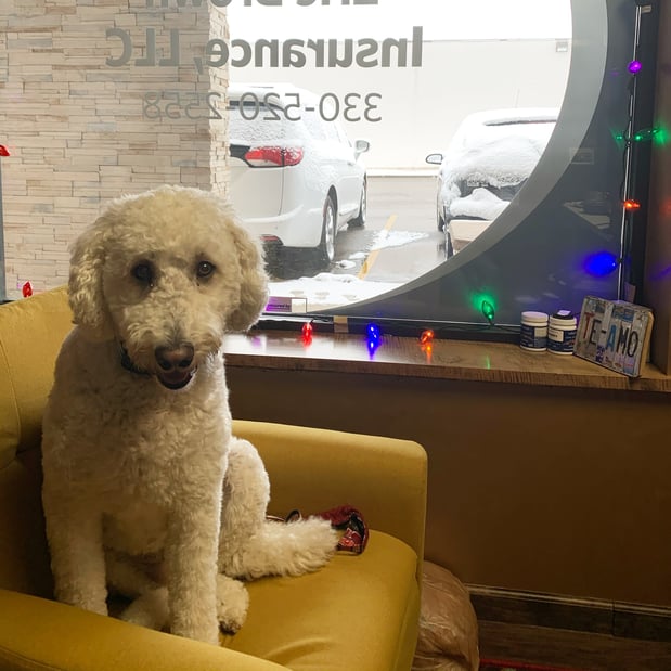 Images Regina Piunno: Allstate Insurance