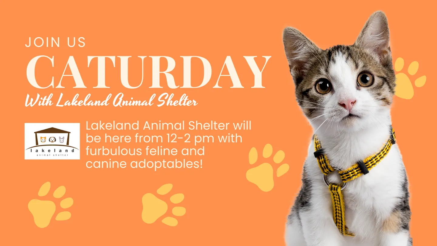 Image of Local Pet Event Caturday with Lakeland Animal Shelter MUKWONAGO Nearby