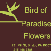 Bird of Paradise Flowers Logo