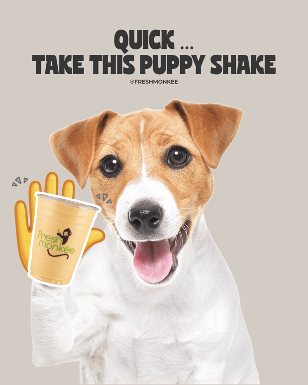 Images The Fresh Monkee - Wakefield