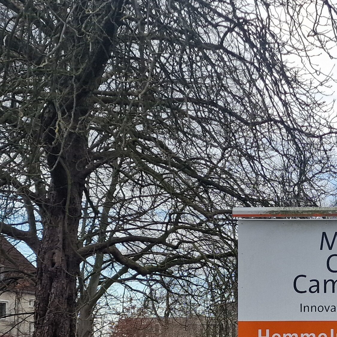 Wise Solution GmbH, Hemmelrather Weg 201 in Leverkusen