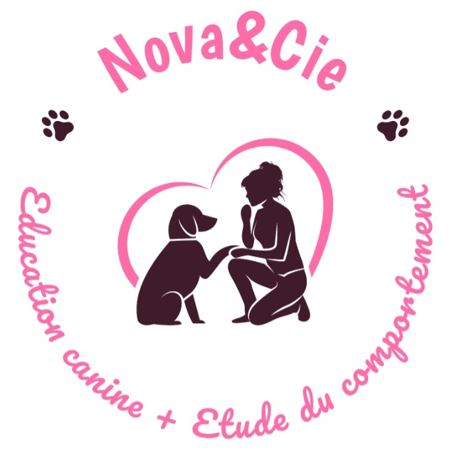 Nova&Cie dressage animal