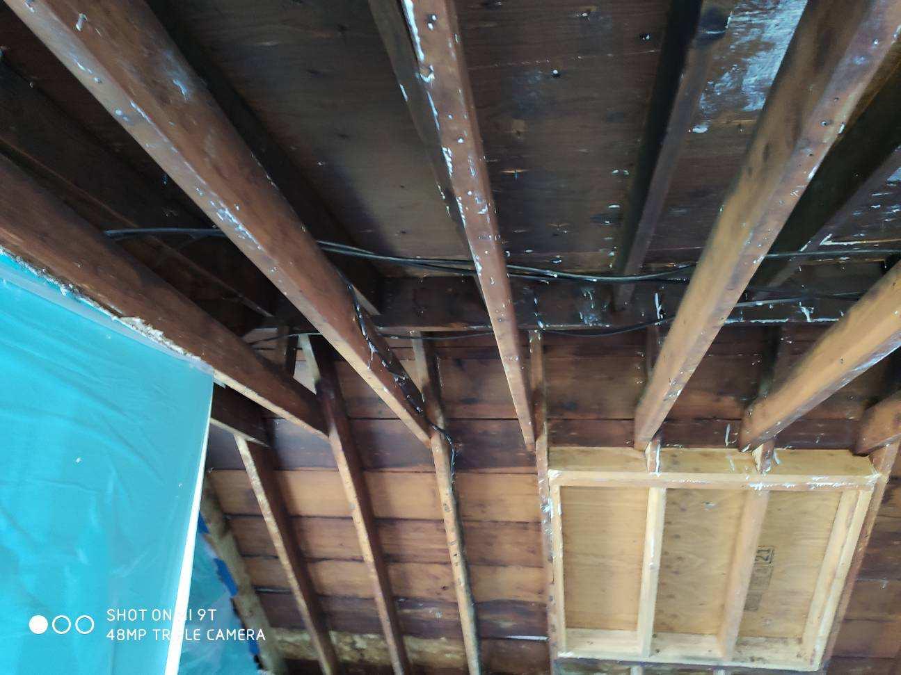 Mold in your attic? That's ok, call SERVPRO of North East Chester County