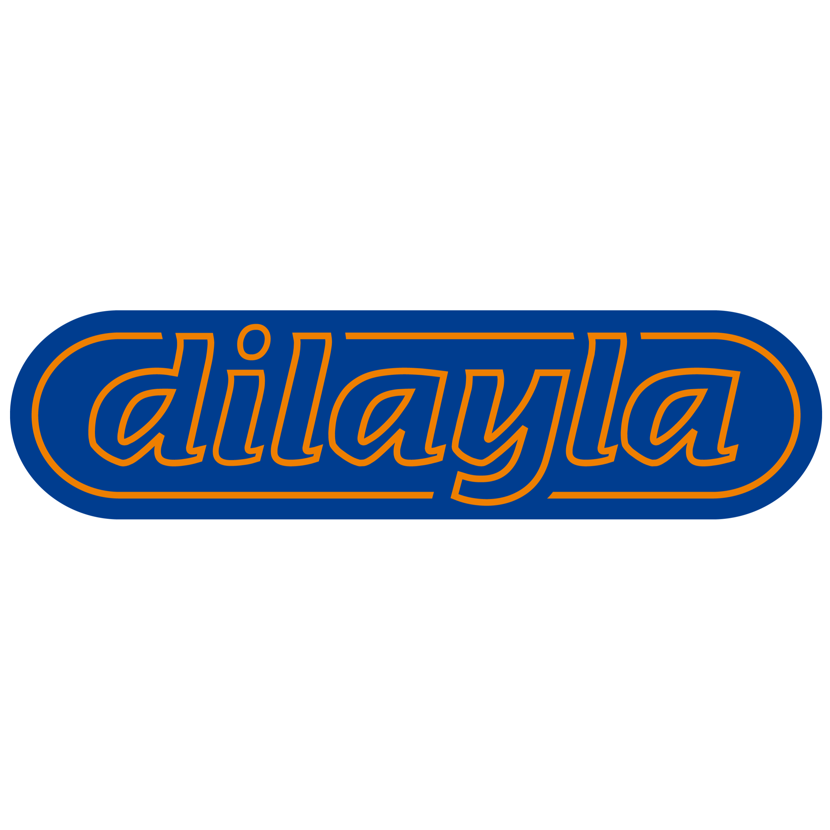 Dilayla Logo