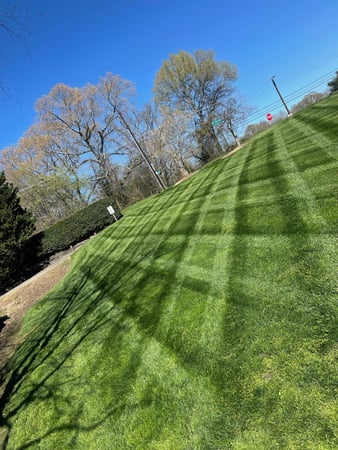 Images Calhoun’s Lawn Maintenance
