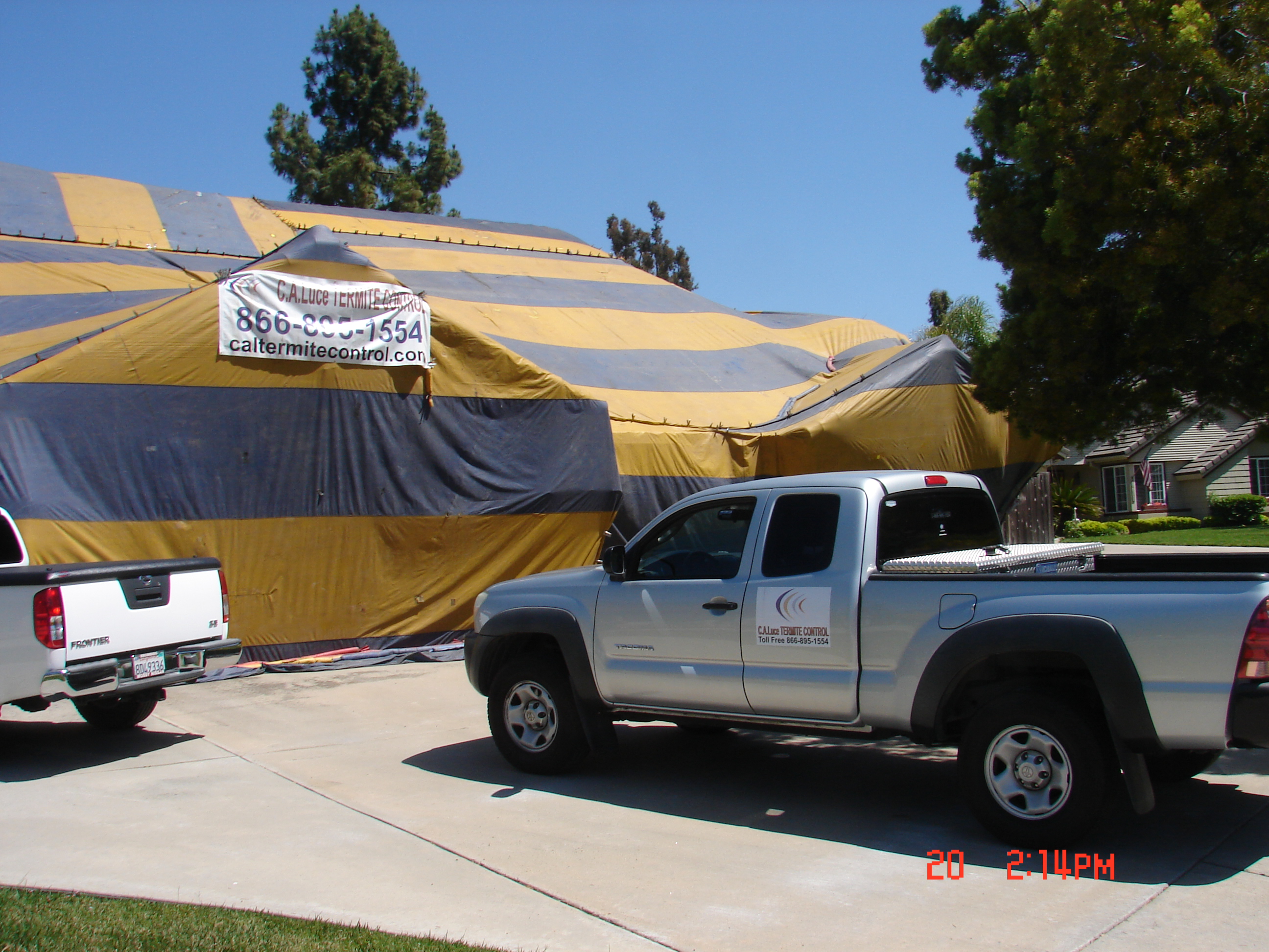 We work with excellent fumigation companies...