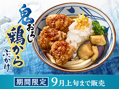 丸亀製麺70本 丸亀の讃岐うどん 半生麺 4人前 ダシなし 本場の製麺所が本気で