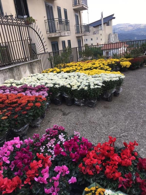 Images La Boutique del Fiore