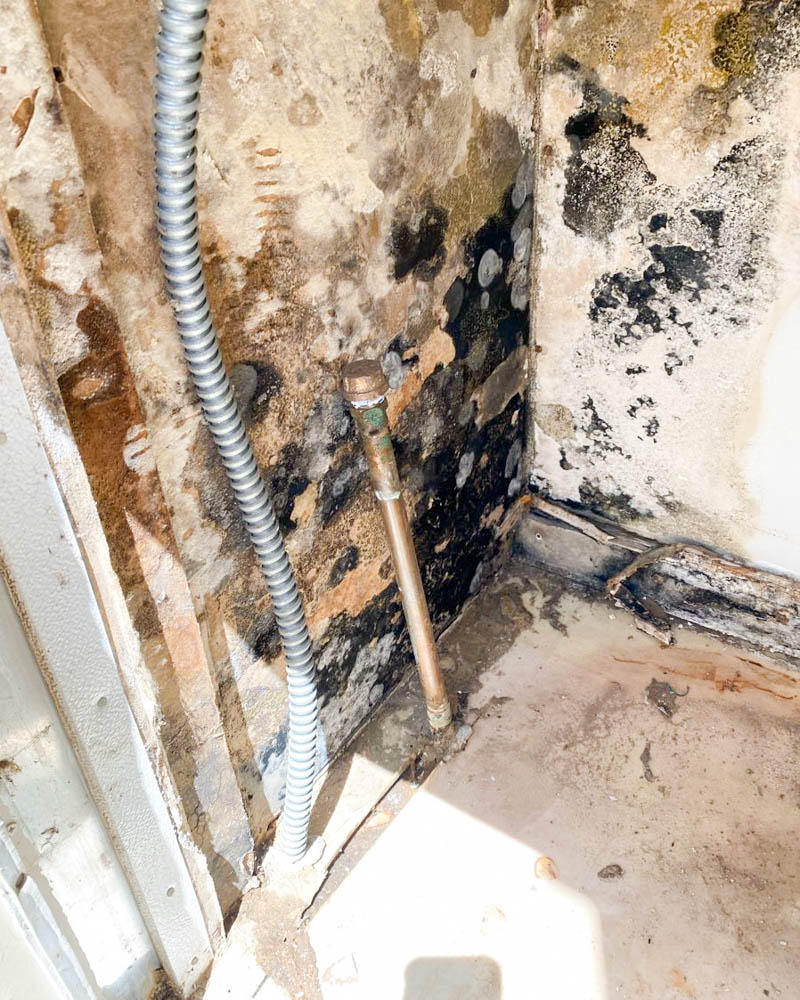 Restore your property to a mold-free condition with SERVPRO's expert mold damage restoration services. Give SERVPRO of NorthWest Phoenix/ Anthem a call to schedule services.