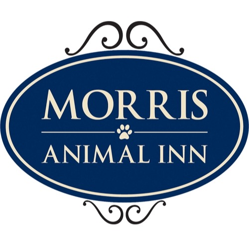 Morris Animal Inn at Montville