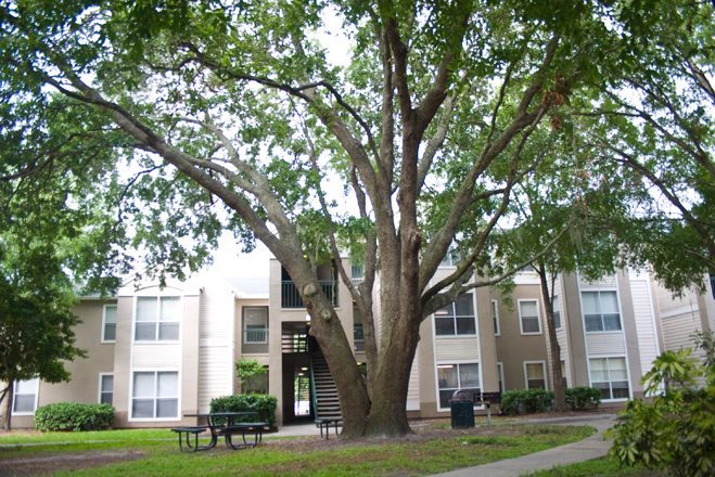 Waterford at Cypress Lake Apartments Photo