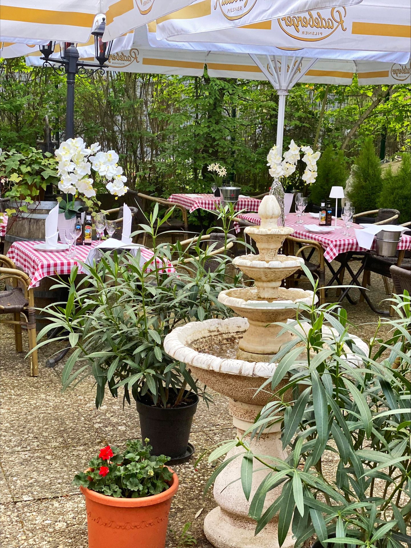 Trattoria IL Giardino, Osdorfer Str. 23 in Berlin