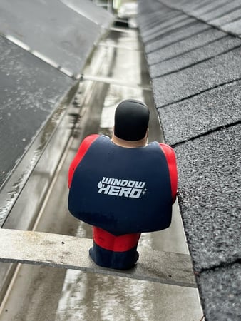 Images Window Hero Durham/Chapel Hill