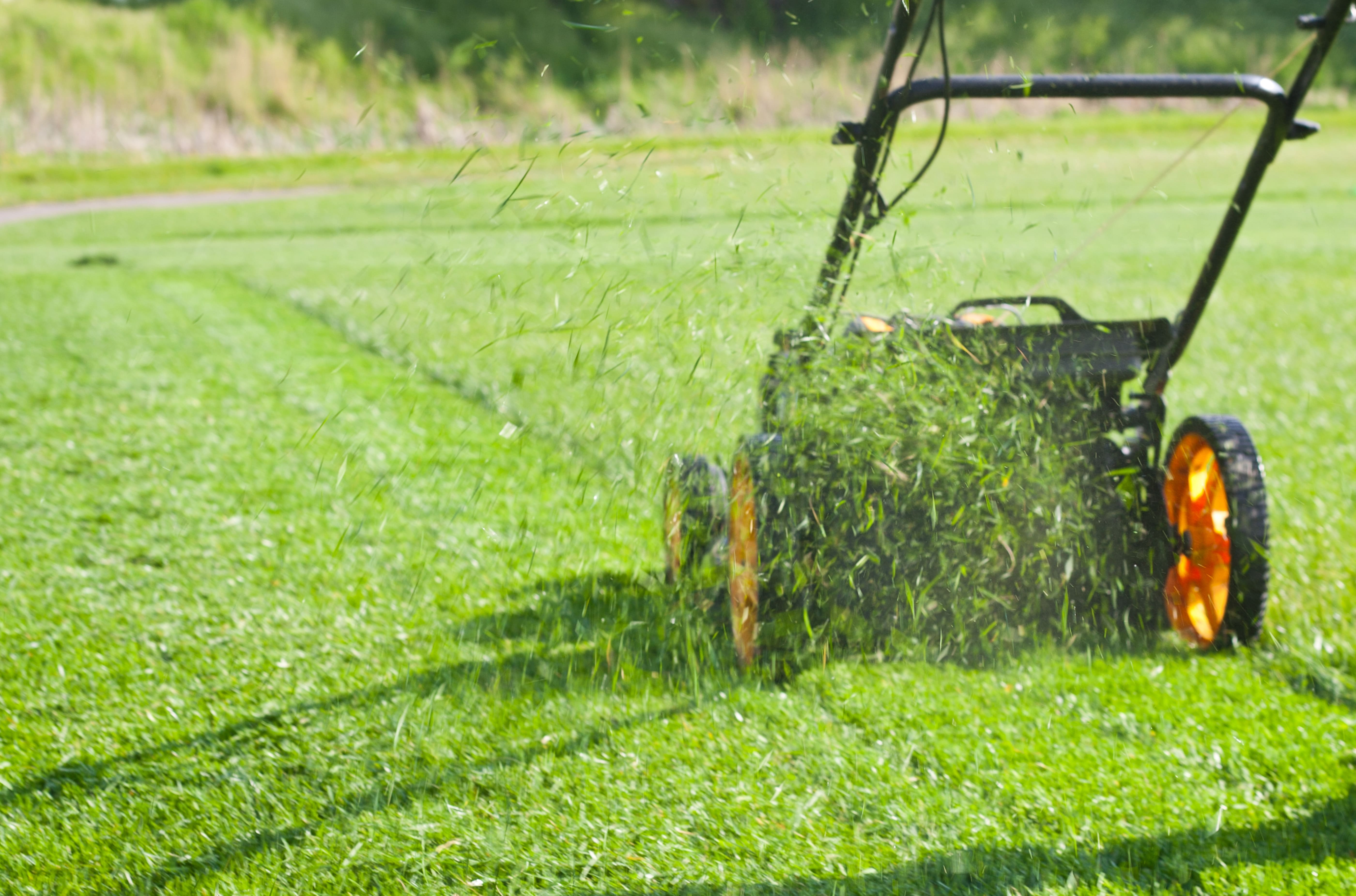 Executive Lawn Care 6