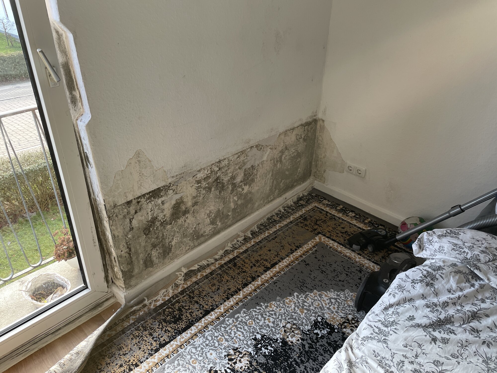 Sachverständigenbüro Oliver Peters, Oher Straße 16 a in Reinbek