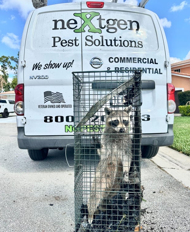 Images Nextgen Pest Solutions