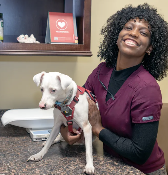 Images Oak Forest Veterinary Hospital