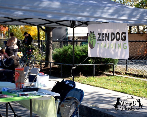 Images Zen Dog Training