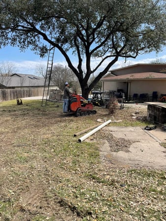 Images Luna's Tree Service