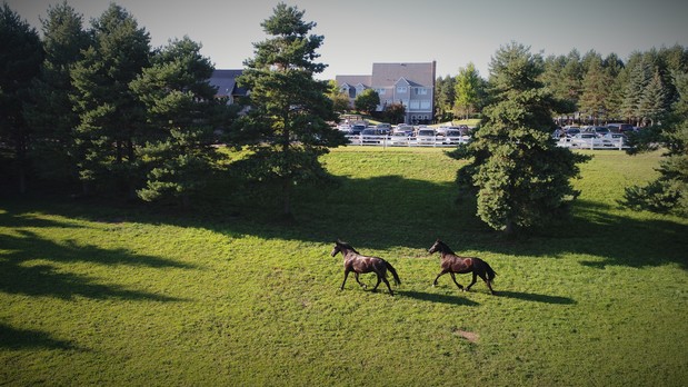 Images Stonewall Farms, LLC