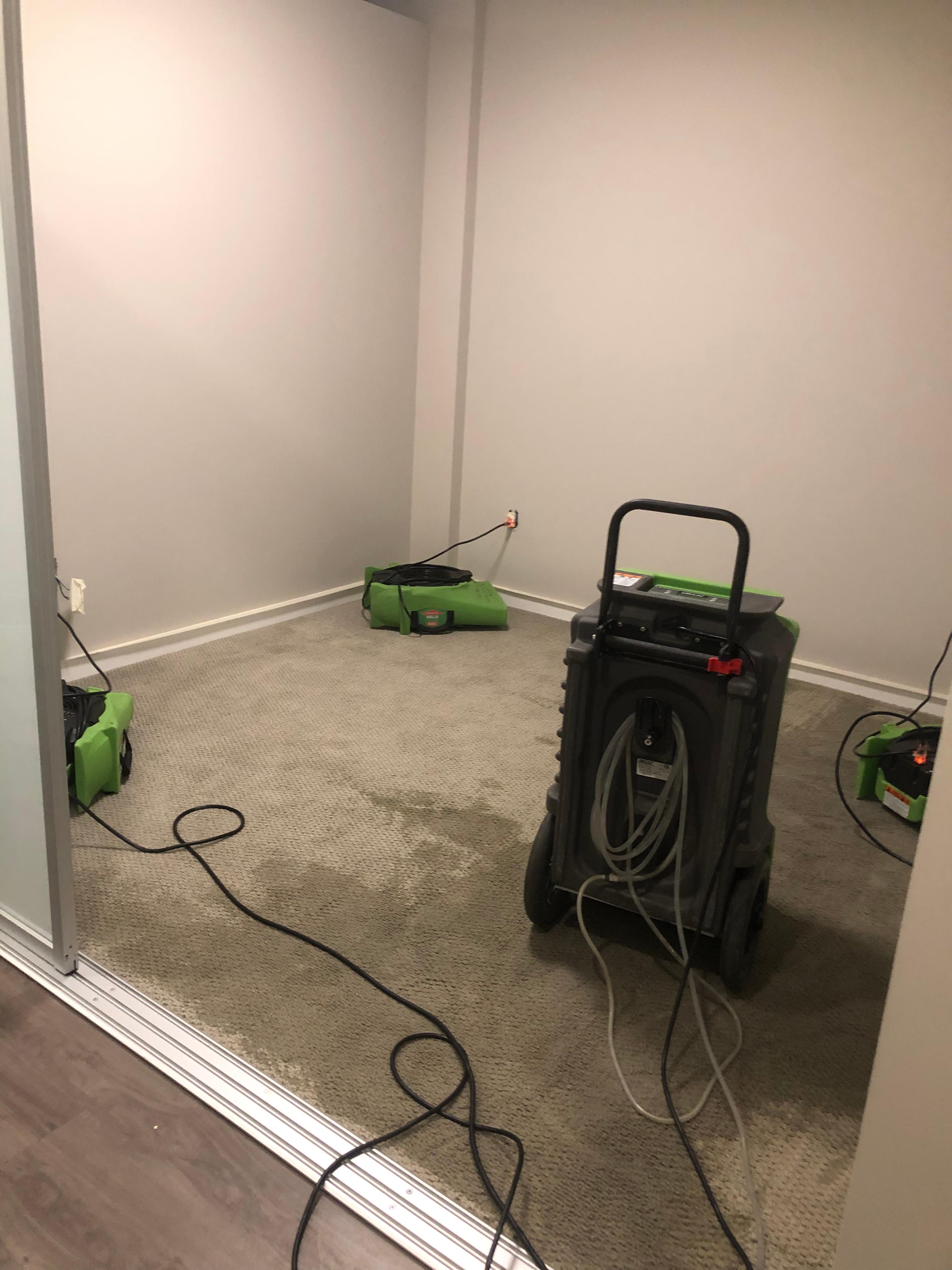 Getting these soaking wet carpet dry after water damage.