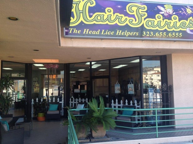Images Hair Fairies The Head Lice Helpers Los Angeles