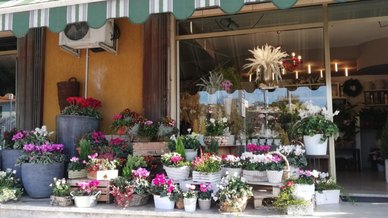 Images Fioreria Bellotto