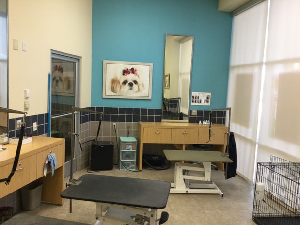 Images Petco Grooming