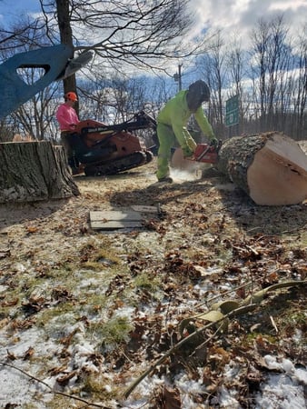 Images L&M Tree Service