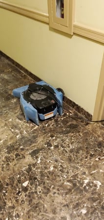 Images EZ Mitigation