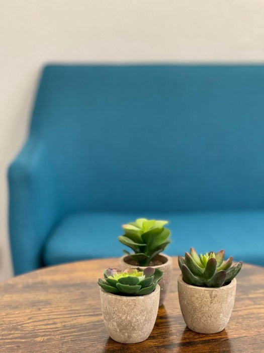 Dr. med. dent. Ivette Szabadi, Gutenbergstr. 60 in Potsdam