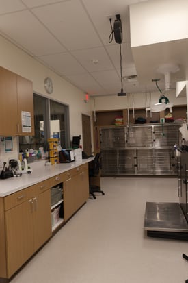 Images VCA Mainland Animal Hospital